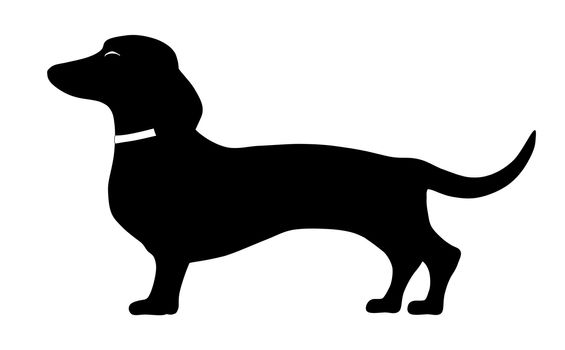 An illustration of a dachshund standing side pose