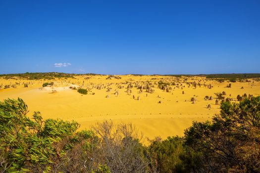 An image of the Pinnacles sand desert Western Australia