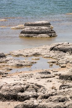 An image of Stromatolites Lake Thetis Western Australia