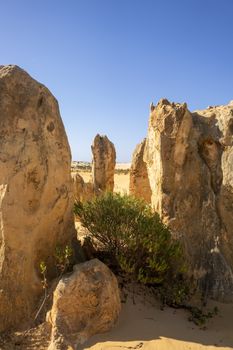 An image of the Pinnacles sand desert Western Australia