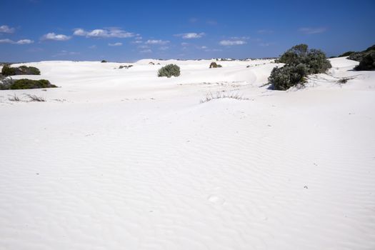 An image of white dune sand scenery western Australia