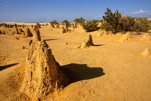 An image of the Pinnacles sand desert Western Australia