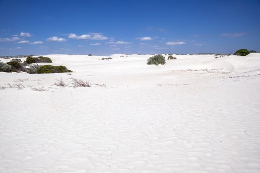 An image of white dune sand scenery western Australia