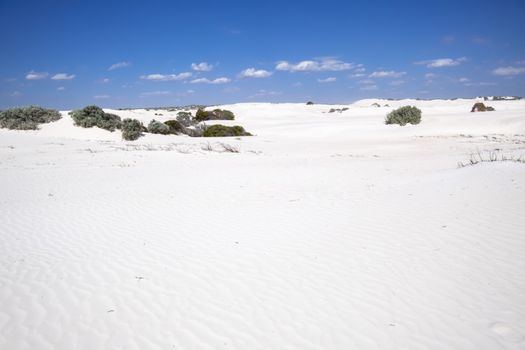 An image of white dune sand scenery western Australia