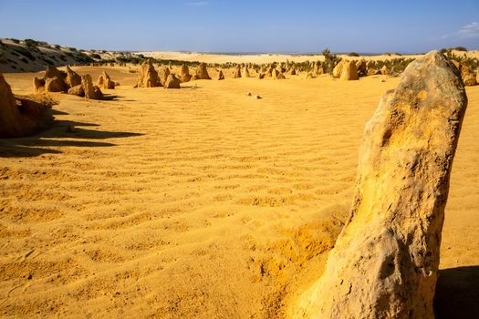 An image of the Pinnacles sand desert Western Australia