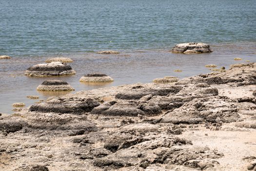 An image of Stromatolites Lake Thetis Western Australia