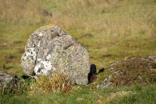 An image of a rock in the autumn meadow