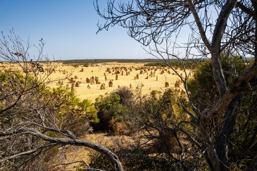 An image of the Pinnacles sand desert Western Australia