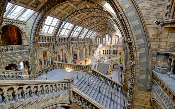 London, United Kingdom - April 17, 2019 - The interior of Natural History Museum and and whale skeleton in London, United Kingdom.