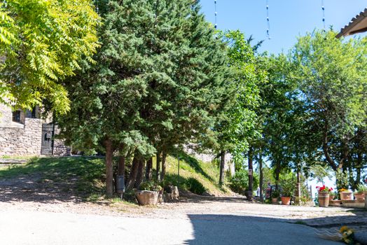 wooded area outside the village of macerino outside the walls