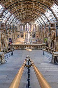 London, United Kingdom - April 17, 2019 - The interior of Natural History Museum and and whale skeleton in London, United Kingdom.