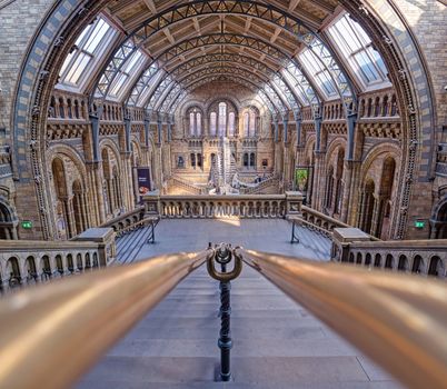 London, United Kingdom - April 17, 2019 - The interior of Natural History Museum and and whale skeleton in London, United Kingdom.