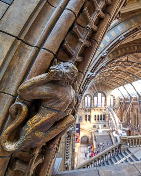 London, United Kingdom - April 17, 2019 - The interior of Natural History Museum and and whale skeleton in London, United Kingdom.