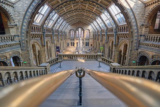 London, United Kingdom - April 17, 2019 - The interior of Natural History Museum and and whale skeleton in London, United Kingdom.