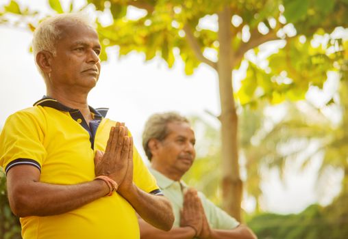 Selective focus on hands elderly men practising simple yoga - fitness, sport, yoga and healthy lifestyle concept - Two senior men with namaste posture at park outdoor