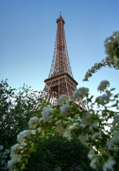 The Eiffel Tower across the River Seine in Paris, France.