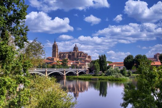 Salamanca Cathedral seen from the river Tormes.