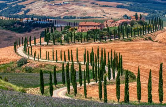 Tuscany, Italy - July 5, 2018: Cypress trees and meadow with typical tuscan house, Val d'Orcia, Italy - Tuscany