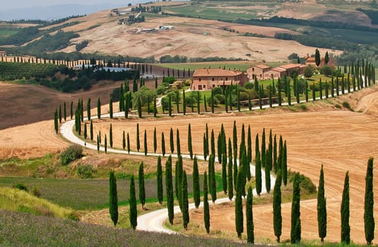 Tuscany, Italy - July 5, 2018: Cypress trees and meadow with typical tuscan house, Val d'Orcia, Italy - Tuscany