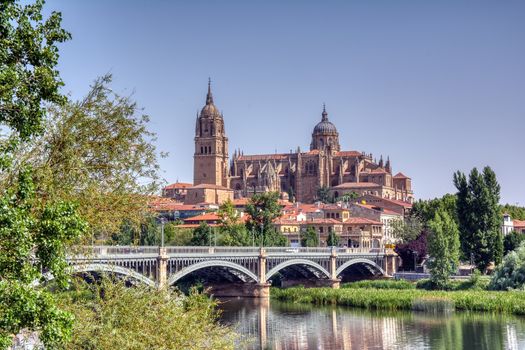 Salamanca Cathedral at morning view from the Tormes River, Salamanca City, Spain, Europe.