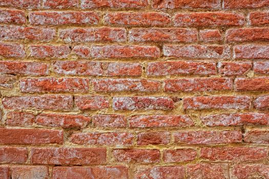 Red brick wall with saltpeter and moisture in Venice.