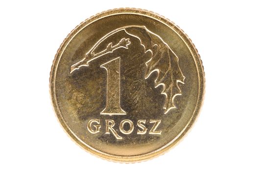 Closeup of 1 polish grosz coin isolated on white background with clipping path