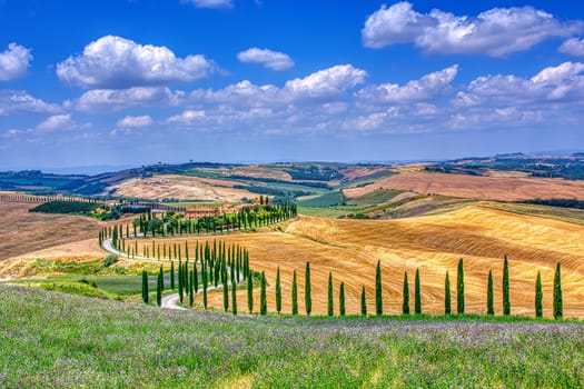 Tuscany, Italy - July 5, 2018: Cypress trees and meadow with typical tuscan house, Val d'Orcia, Italy - Tuscany