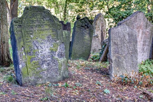 Prague, Czech Republic - September 26, 2018: Tombstones on Old Jewish Cemetery in the Jewish Quarter in Prague.There are about 12000 tombstones presently visible. One of the most important Jewish monument.