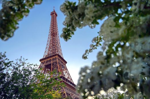 The Eiffel Tower across the River Seine in Paris, France.