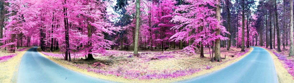 Beautiful pink and purple infrared panorama of a countryside landscape with a blue sky.