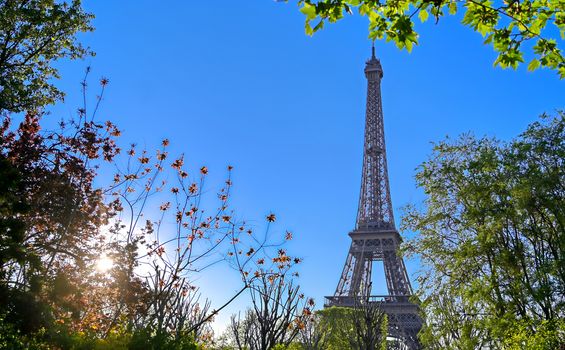 A view of the Eiffel Tower in Paris, France.