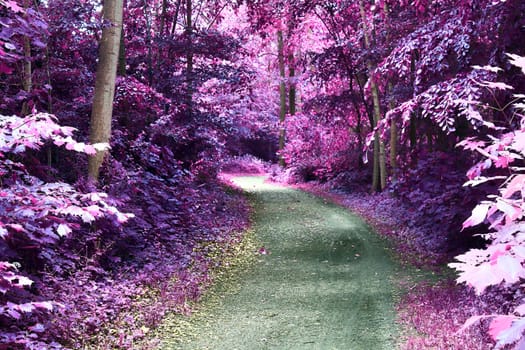 Beautiful pink and purple infrared panorama of a countryside landscape with a blue sky.