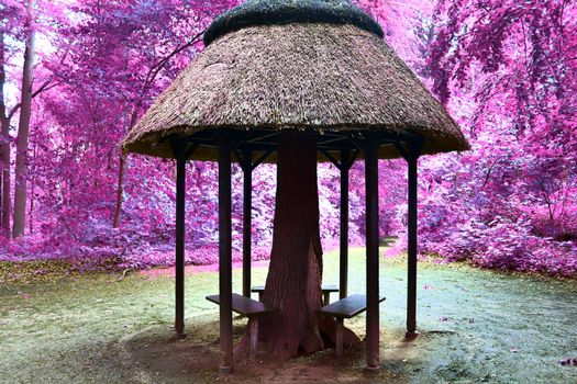 Beautiful pink and purple infrared panorama of a countryside landscape with a blue sky.