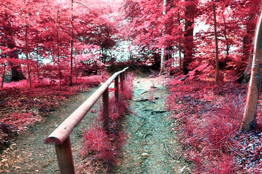 Beautiful pink and purple infrared panorama of a countryside landscape with a blue sky.