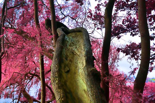 Beautiful pink and purple infrared panorama of a countryside landscape with a blue sky.