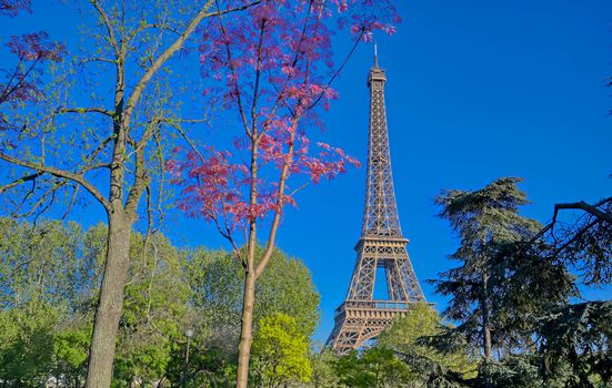 A view of the Eiffel Tower in Paris, France.