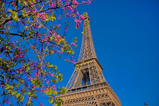 A view of the Eiffel Tower in Paris, France.