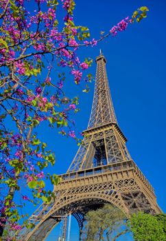 A view of the Eiffel Tower in Paris, France.