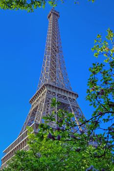 A view of the Eiffel Tower in Paris, France.