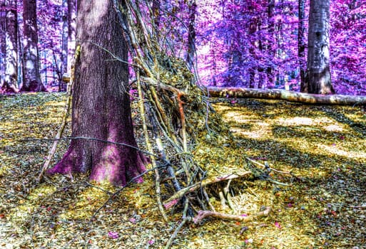 Beautiful pink and purple infrared panorama of a countryside landscape with a blue sky.