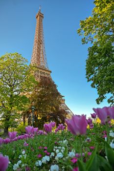 A view of the Eiffel Tower in Paris, France.