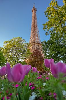 A view of the Eiffel Tower in Paris, France.