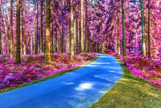 Beautiful pink and purple infrared panorama of a countryside landscape with a blue sky.