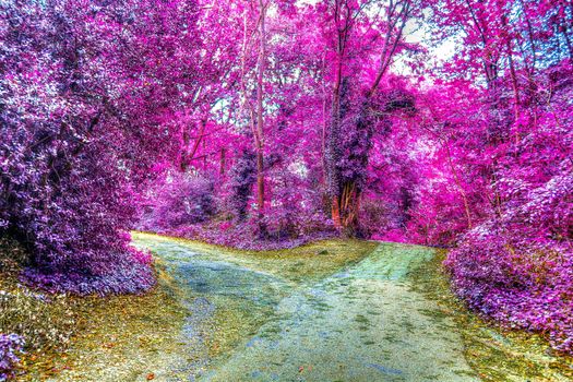 Beautiful pink and purple infrared panorama of a countryside landscape with a blue sky.