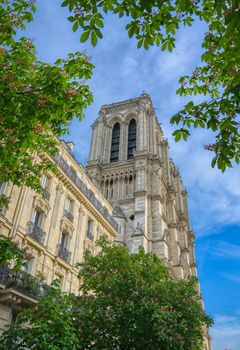 Paris, France - April 21, 2019 - Notre Dame Cathedral on the Seine River in Paris, France after the fire on April 15, 2019.