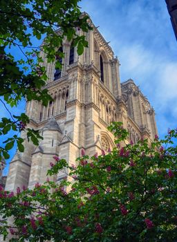 Paris, France - April 21, 2019 - Notre Dame Cathedral on the Seine River in Paris, France after the fire on April 15, 2019.