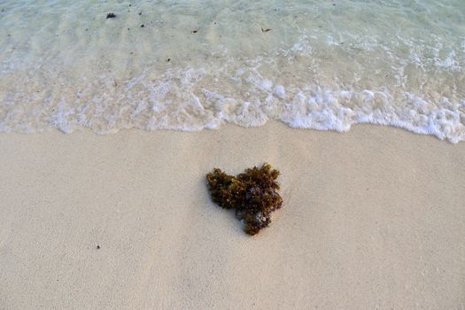 Stunning indian ocean waves at the beaches on the paradise island seychelles.