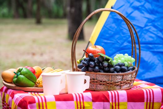 Fruit basket, picnic basketry with food on the table and tent for picnic in park.