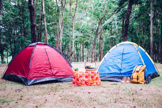Camping Tent and picnic accessories under tree in morning sunrise.