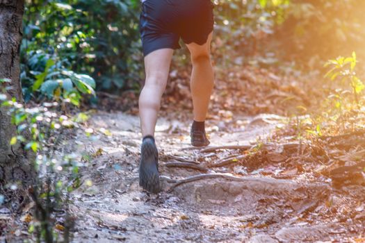 Male running training for cross country forest trail race on a nature trail.